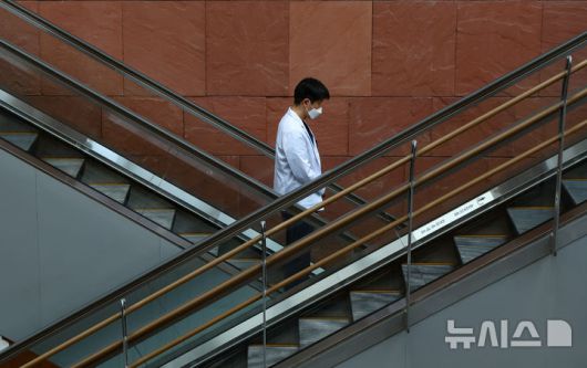 뉴시스