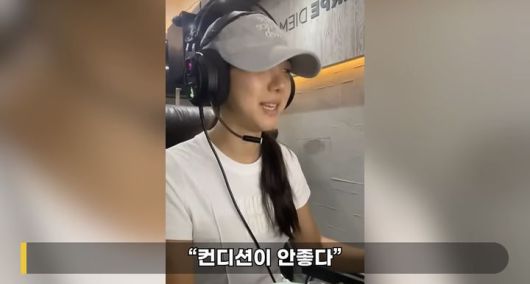 뉴시스