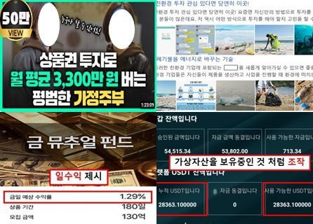 뉴시스