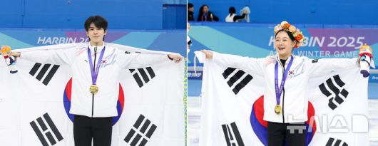 뉴시스