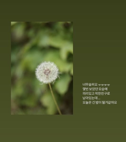 뉴시스