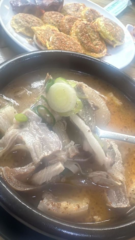 뉴시스
