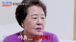 뉴시스