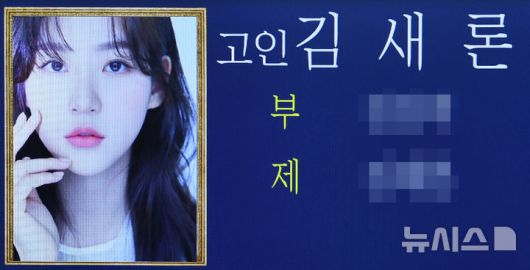 뉴시스