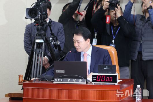 뉴시스