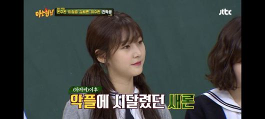 뉴시스