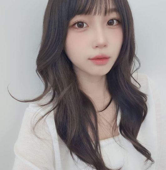 뉴시스