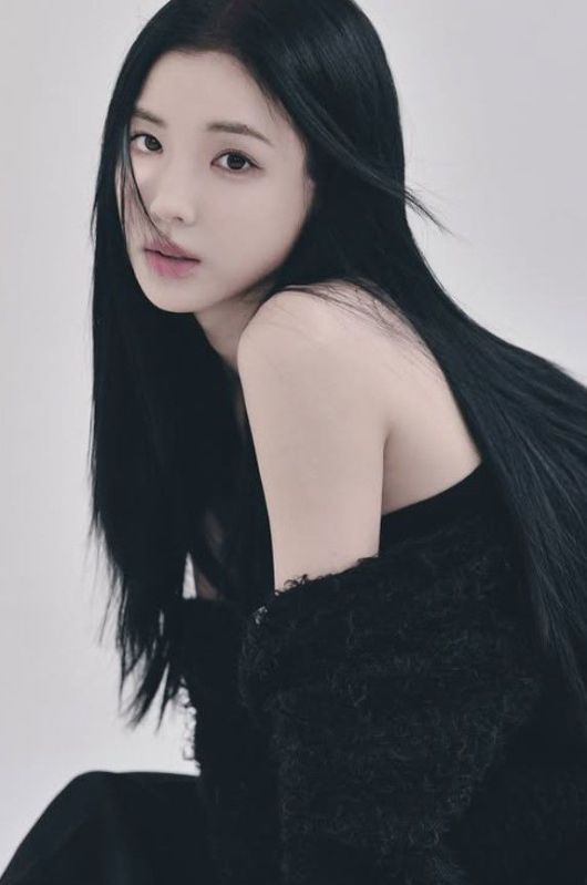 뉴시스