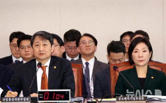 뉴시스