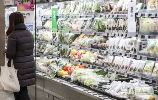 [서울=뉴시스] 정병혁 기자 = 서울시내 대형마트를 찾은 시민들이 장을 보고 있다. 2025.03.05. jhope@newsis.com