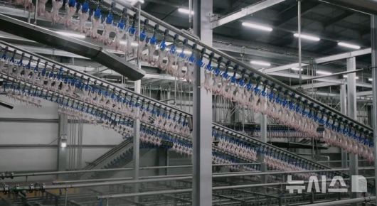 [서울=뉴시스] 전라북도 익산시에 위치한 하림의 '닭고기 종합처리센터'(PPC)에서 닭고기 도계 공정 중 차가운 공기를 이용해 약 41도의 육심 온도를 2도까지 급속으로 낮추는 '에어칠링'을 거치고 있다. (사진= 하림지주 제공) photo@newsis.com