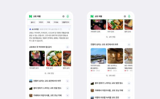 [서울=뉴시스] 네이버 인공지능(AI) 기반 검색 결과 요약 서비스 'AI 브리핑' (사진=네이버 제공) *재판매 및 DB 금지