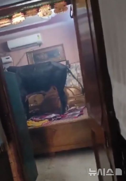 (사진=프리프레스저널)