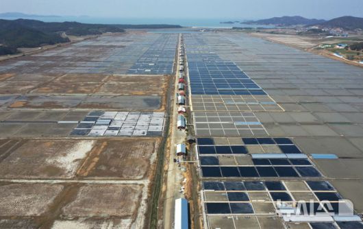 [신안=뉴시스] 이영주 기자 = 7일 오전 전남 신안군 하늘에서 바라본 태평염전에서 천일염 생산을 위한 해수를 채우는 작업이 진행 중이다. 태평염전에서 생산돼 수출길에 오른 일부 천일염 제품은 지난 3일(현지 시간) 미국 세관국경보호청(CBP)에 의해 '강제노동에 의한 생산품'으로 의심돼 수입 보류 명령이 내려졌다. 2025.04.07. leeyj2578@newsis.com