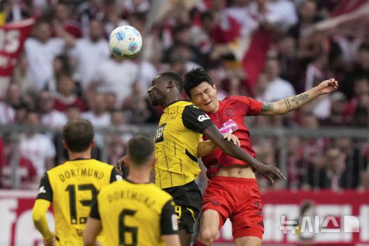 [뮌헨=AP/뉴시스] 바이에른 뮌헨의 김민재(오른쪽)가 12일(현지 시간) 독일 뮌헨의 알리안츠 아레나에서 열린 2024-25 분데스리가 29라운드 도르트문트와 경기 중 공중 볼을 다투고 있다. 김민재는 54분을 뛰었고 팀은 2-2로 비겼다. 2025.04.13.