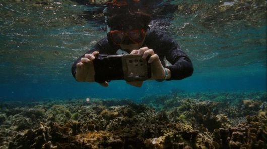 삼성전자가 해양 보호를 위해 갤럭시 카메라 기술을 활용한 해양 생태계 복원 프로젝트 '코랄 인 포커스(Coral in Focus)'를 위해 산호초를 찍고 있는 모습. (사진=삼성전자 제공) *재판매 및 DB 금지