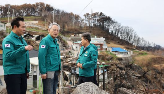 [서울=뉴시스] 추상철 기자 = 유인촌 문화체육관광부 장관이 23일 산불 피해 지역인 경북 영덕 따개비 마을 찾아 현장을 살펴보고 관계자와 대책을 논의하고 있다. (사진= 문화체육관광부 제공) 2025.04.23. photo@newsis.com *재판매 및 DB 금지
