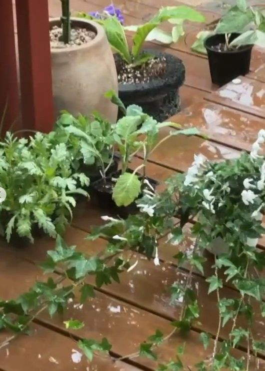 [서울=뉴시스] 서동주가 신혼집을 공개했다. (사진=리빙센스 제공, 서동주 인스타그램 캡처) 2025.04.29. photo@newsis.com *재판매 및 DB 금지