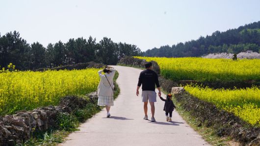 [세종=뉴시스] 농림축산식품부는 전 세계적으로 인기를 끌고 있는 '케이(K)-푸드'에 이어 전통 농업유산과 자연경관이 어우러진 '케이 아그로 헤리티지(K-Agro Heritage)'의 대표 사례로 전남 완도군 청산도를 30일 소개했다. (사진=농식품부 제공) 2025.04.30. photo@newsis.com *재판매 및 DB 금지