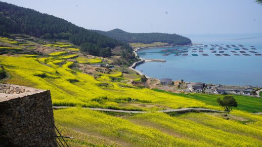 [세종=뉴시스] 농림축산식품부는 전 세계적으로 인기를 끌고 있는 '케이(K)-푸드'에 이어 전통 농업유산과 자연경관이 어우러진 '케이 아그로 헤리티지(K-Agro Heritage)'의 대표 사례로 전남 완도군 청산도를 30일 소개했다. (사진=농식품부 제공) 2025.04.30. photo@newsis.com *재판매 및 DB 금지