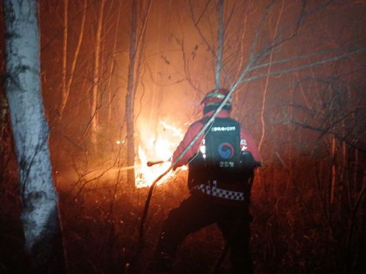 [대전=뉴시스] 야간 산불진화 중인 특수진화대원.(사진=산림청 제공) *재판매 및 DB 금지