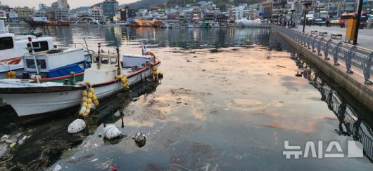 [통영=뉴시스] 신정철 기자= 경남 통영시의 주요 관광 명소인 강구안이 지난 11일 오후 통영시 중앙동·동호동 연안인 강구안에는 둥둥 떠다니는 해상 쓰레기와 육지에서 흘러든 오염물질로 뒤덮였다. 2025.05.12. sin@newsis.com
