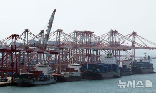 [부산=뉴시스] 하경민 기자 = 부산 남구 신선대부두에서 수출입 컨테이너 선적 및 하역작업이 진행되고 있다. 2025.05.12. yulnetphoto@newsis.com