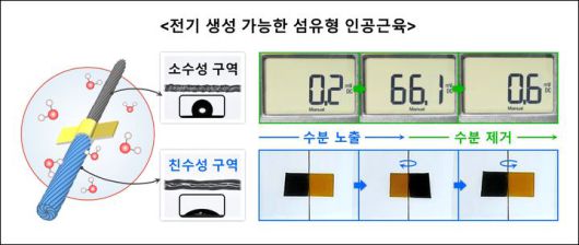 비대칭 구조 기반 전기 생성이 가능한 섬유형 인공근육 모식도. (사진=한양대 제공) *재판매 및 DB 금지