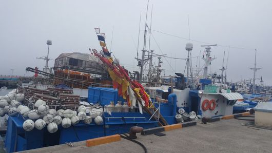 [제주=뉴시스] 13일 오후 제주 서귀포 남서쪽 약 563㎞ 해상에서 29t급 모슬포 선적 887어진호(승선원 8명)가 침몰해 해경이 수색에 나서고 있다. 사진은 포구에 정박 중인 887어진호 모습. (사진=제주지방해양경찰청 제공) 2025.05.13. photo@newsis.com *재판매 및 DB 금지