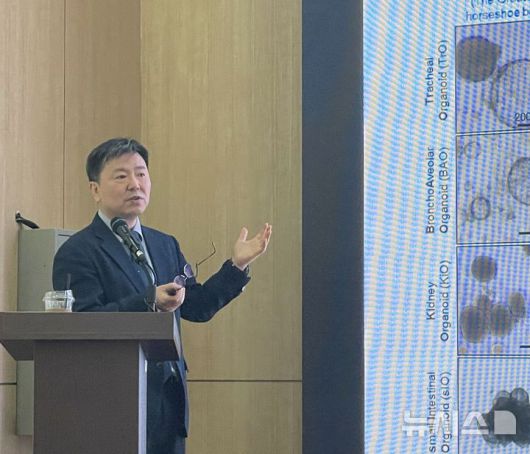 [서울=뉴시스] 이주영 수습 기자 = 기초과학연구원(IBS)과 유전체 교정 연구단이 지난 14일 오후 서울 중구 센터포인트 광화문빌딩에서 주요 연구 성과를 발표했다. 사진은 최영기 한국바이러스기초연구소장이 박쥐 유사장기(오가노이드)를 설명하는 모습. 2025.05.14. zoo@newsis.com