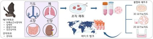 *재판매 및 DB 금지