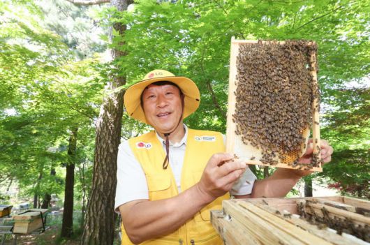 [서울=뉴시스]LG가 조성한 토종 꿀벌 서식지에서 김대립 명인이 꿀벌통을 들어 보이고 있다. (사진 = LG) 2025.05.19. photo@newsis.com  *재판매 및 DB 금지
