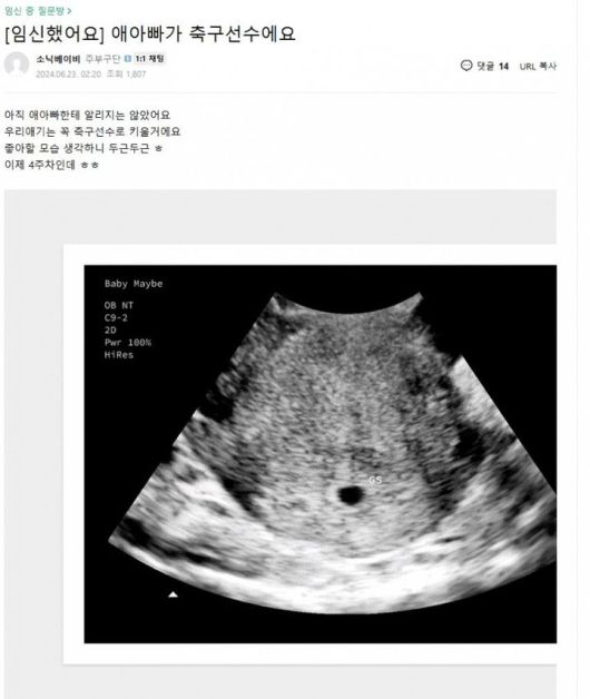 [서울=뉴시스] 지난해 6월 포털사이트 카페에 올라온 글. (출처=온라인 커뮤니티 갈무리) 2025.05.19. photo@newsis.com *재판매 및 DB 금지