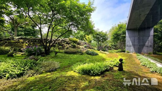 [제주=뉴시스] 임재영 기자 = 20일 오전 서귀포시 신효동 '베케' 정원. 돌무더기를 뜻하는 베케를 배경으로 이끼, 고사리 등이 사람의 손길이 닿지 않은 것처럼 자연스럽게 풍경에 녹아들었다. 2025.05.20. ijy788@newsis.com