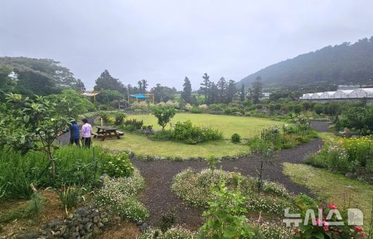 [제주=뉴시스] 임재영 기자 = 제주시 애월읍 곽지리 '빌레못정원'은 전문적인 지식이나 상당한 자본투입 없이 지역주민이 독학으로 만든 개인정원이다. 2025.05.20. ijy788@newsis.com