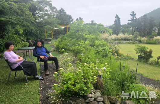 [제주=뉴시스] 임재영 기자 = 빌레못정원을 조성하고 있는 김형도·이성이씨 부부는 매일 아침 정원에 앉아 차를 마시며 안식과 평온함을 얻고 있다. 2025.05.20. ijy788@newsis.com