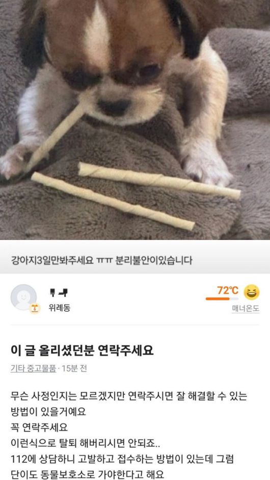 [서울=뉴시스] 반려견을 임시로 돌봐달라며 맡긴 뒤 계정을 탈퇴해 잠적한 견주를 찾는다는 사연이 온라인상에 퍼지며 공분을 사고 있다. (사진 = 당근마켓 캡처) 2025.05.26. *재판매 및 DB 금지