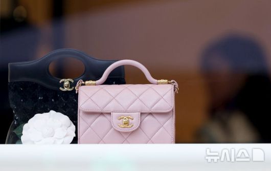 [서울=뉴시스] 김진아 기자 = 2일 명품 업계에 따르면 샤넬코리아는 이날부터 주얼리와 가방 일부 제품 가격을 기습 인상했다.  22백은 중간 사이즈는 867만원에서 938만원으로, 작은 사이즈는 822만원에서 889만원으로 8.2% 인상된다. 샤넬 뉴미니 클래식 백의 경우, 748만원에서 800만원으로 7% 정도 인상됐다. 클래식 카드지갑의 경우 90만원에서 97만원으로 인상돼 7.7% 정도 가격이 올랐다. 사진은  2일 서울 시내 한 샤넬 매장. 2025.06.02. bluesoda@newsis.com