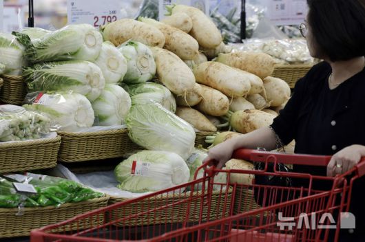 [서울=뉴시스] 최동준 기자 = 서울 시내 대형마트 내 채소류 매대 모습. 2025.06.04. photocdj@newsis.com