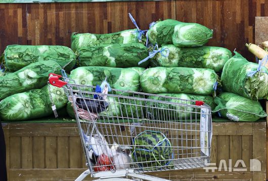 [서울=뉴시스] 김근수 기자 = 서울 시내의 한 대형마트 매대에 배추가 진열돼 있다. 2025.06.15. ks@newsis.com