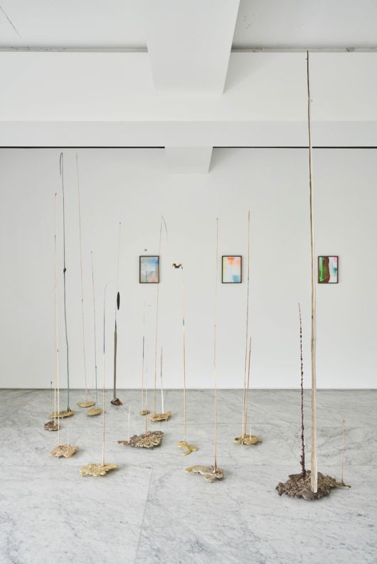 구현모 개인전 전시 전경. Installation view of Echoes from the Cabinet at PKM+ *재판매 및 DB 금지