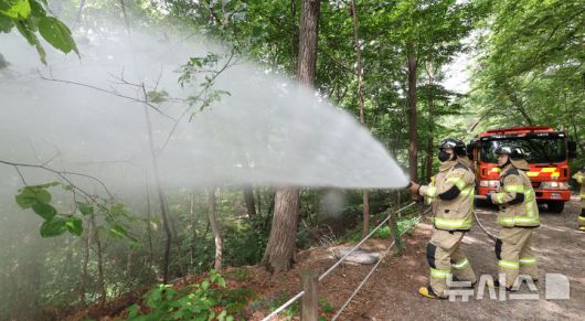 [서울=뉴시스] 권창회 기자 = 3일 서울 노원구 삼육대학교 인근 제명호에서 서울소방 관계자들이 '러브버그(붉은등우단털파리)' 방제작업을 하고 있다. 2025.07.03. kch0523@newsis.com
