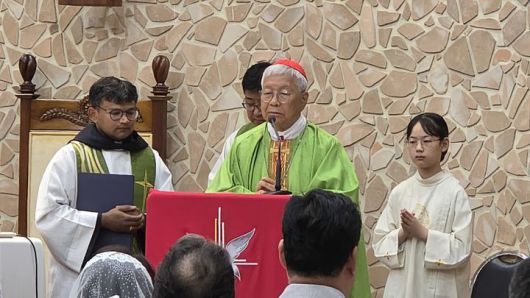 [서산=뉴시스] 유흥식 라자로 추기경이 6일 충남 서산해미국제성지를 방문해 특별미사를 집전하고 있다. (사진=독자 제공) 2025.07.06. photo@newsis.com *재판매 및 DB 금지