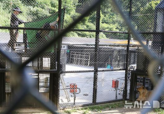 [청주=뉴시스] 서주영 기자 = 12일 오전 충북 청주동물원에서 사육사들이 보조방사장 위에 그늘막을 설치하고 있다. 2025.07.12. juyeong@newsis.com *재판매 및 DB 금지