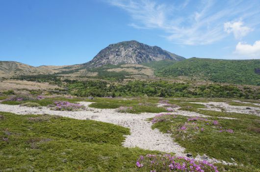 [서울=뉴시스] 한라산 모세왓 유문암질 각력암 지대 전경 (사진=국가유산청 제공) 2025.07.15.  photo@newsis.com *재판매 및 DB 금지