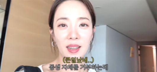 뉴시스