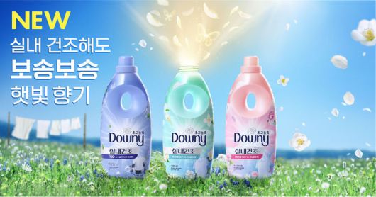 한국P&G '다우니 실내건조 섬유유연제' *재판매 및 DB 금지