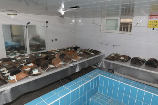 [서울=뉴시스]  정밀수습조사  후 의성 고운사 연수전 수습부재 (사진=국가유산청 제공) 2025.07,.21. photo@newsis.com  *재판매 및 DB 금지