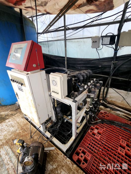 전남 나주에 지난 17일 역대급 폭우가 쏟아진 가운데 [나주=뉴시스] 나주 이창동 대기들 배수펌프 가동 지연으로 18일 오전 시설하우스가 침수돼 양액 공급장치 등 전기설비가 작동 불능상태가 됐다. 2025.07.21. (사진=독자 제공)  photo@newsis.com *재판매 및 DB 금지