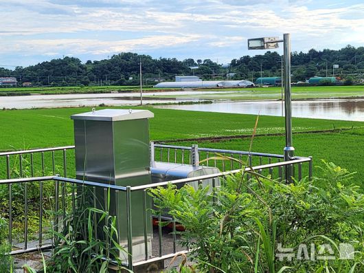 [나주=뉴시스] 전남 나주에 지난 17일 역대급 폭우가 쏟아진 가운데 나주 이창동 대기들 간이 배수펌프장 가동 지연으로 18일 오전 농경지가 침수되고 있다. 2025.07.21. (사진=독자 제공) photo@newsis.com *재판매 및 DB 금지